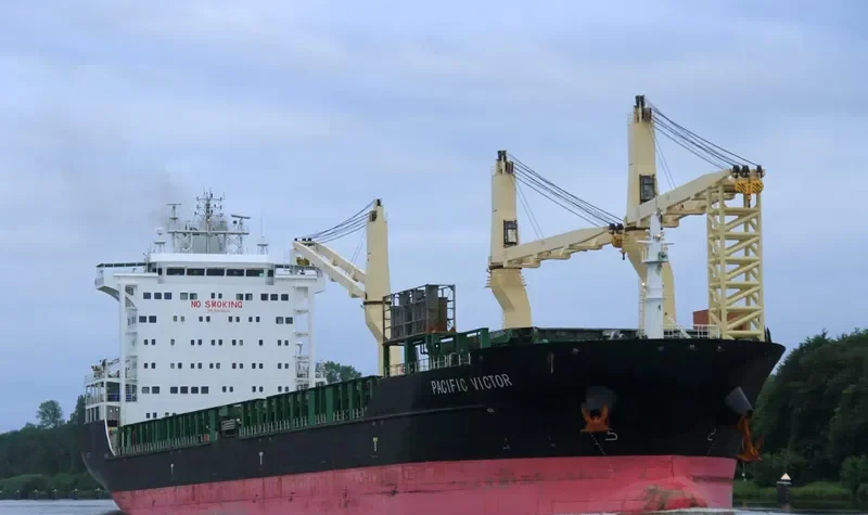 PACIFIC VICTOR General Cargo IMO 9458456 photo 310