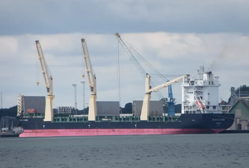 PACIFIC VICTOR General Cargo IMO 9458456 photo 365