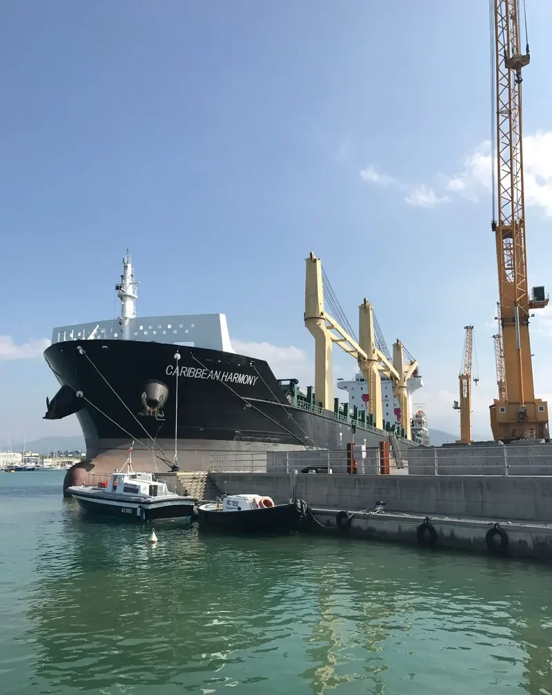 CARIBBEAN HARMONY General Cargo IMO 9458468 photo 9