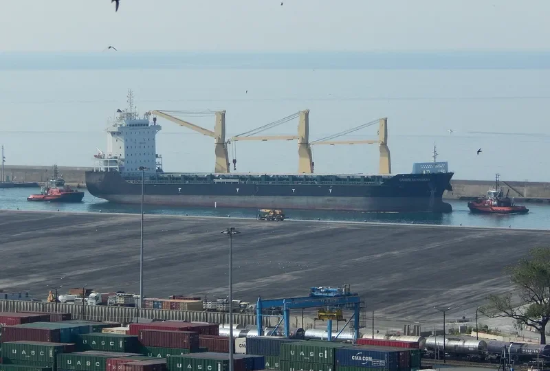 CARIBBEAN HARMONY General Cargo IMO 9458468 photo 208