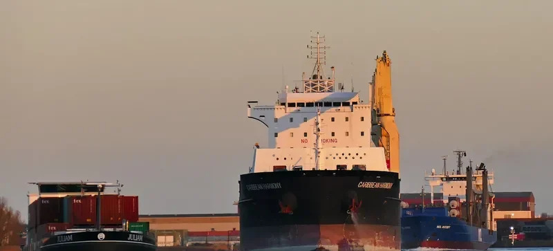 CARIBBEAN HARMONY General Cargo IMO 9458468 photo 218