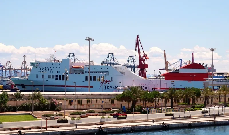 FORZA Ro-Ro IMO 9458523 photo 3