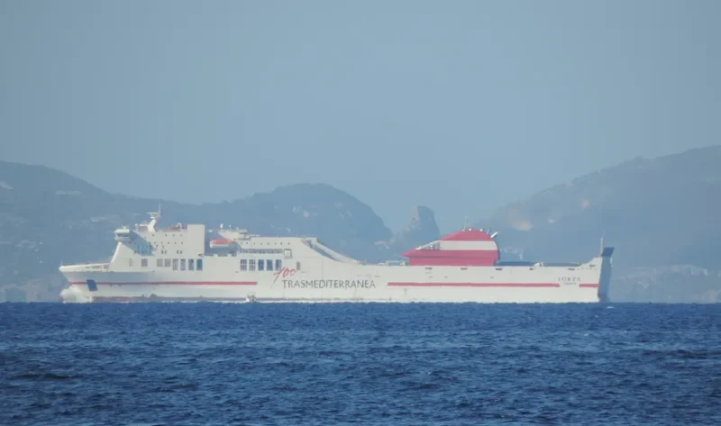 FORZA Ro-Ro IMO 9458523 photo 6