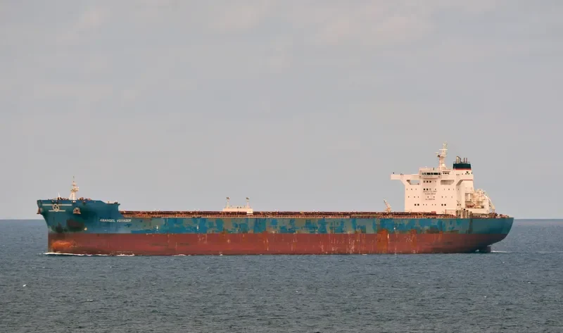 ANANGEL VOYAGER Bulk Carrier IMO 9458688