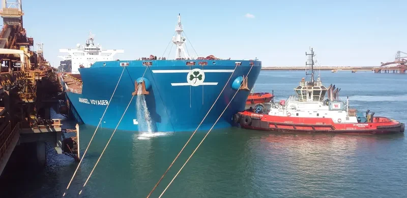 ANANGEL VOYAGER Bulk Carrier IMO 9458688 photo 2