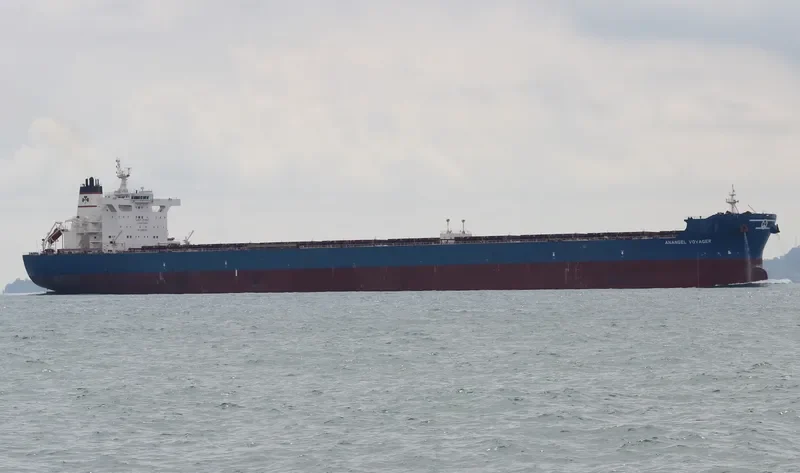 ANANGEL VOYAGER Bulk Carrier IMO 9458688 photo 3
