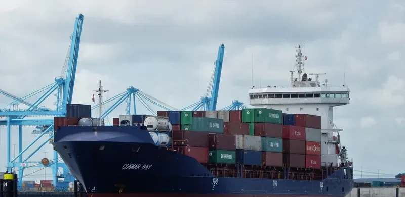 SKALAR Container Ship IMO 9458975 photo 7