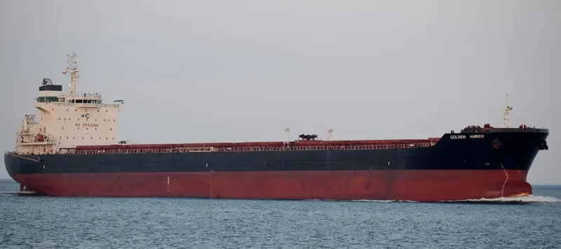 GOLDEN AMBER Bulk Carrier IMO 9458987 photo 2