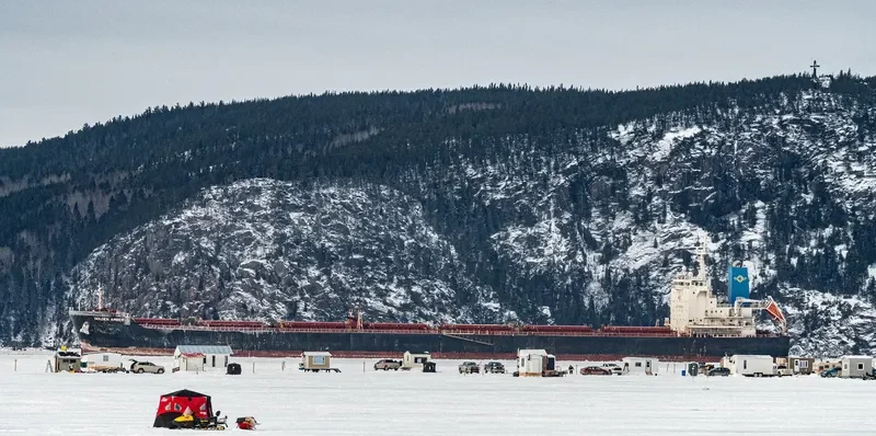 GOLDEN AMBER Bulk Carrier IMO 9458987 photo 3