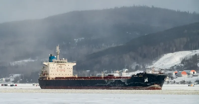 GOLDEN AMBER Bulk Carrier IMO 9458987 photo 5