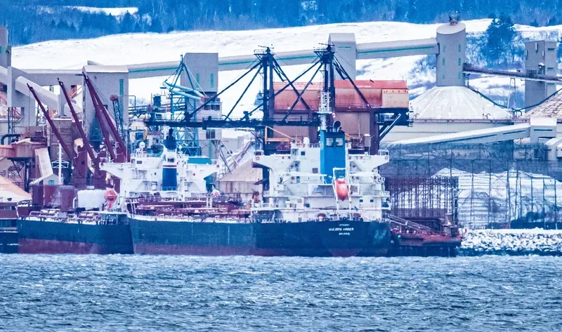 GOLDEN AMBER Bulk Carrier IMO 9458987 photo 6
