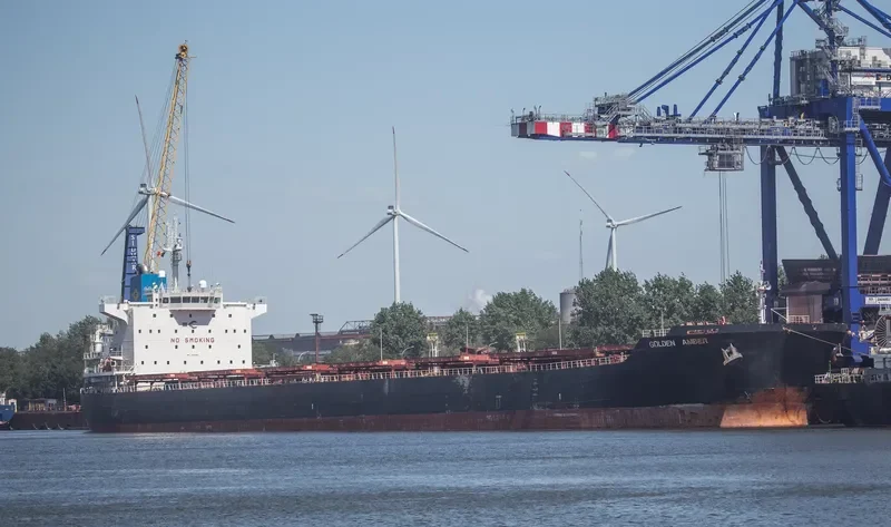 GOLDEN AMBER Bulk Carrier IMO 9458987 photo 7
