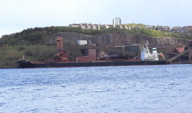 GOLDEN AMBER Bulk Carrier IMO 9458987 photo 8