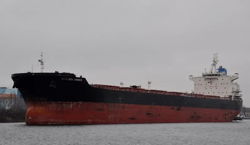 GOLDEN AMBER Bulk Carrier IMO 9458987 photo 9