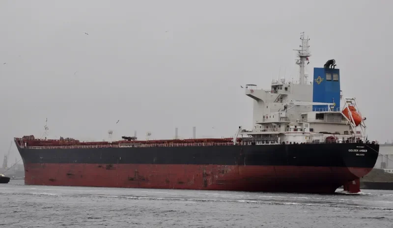 GOLDEN AMBER Bulk Carrier IMO 9458987 photo 10