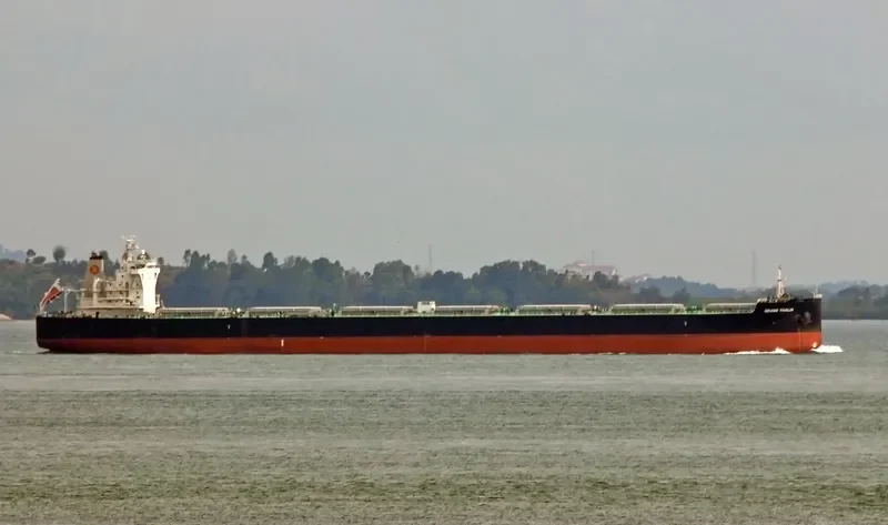 GRAND T Bulk Carrier IMO 9459321 photo 3