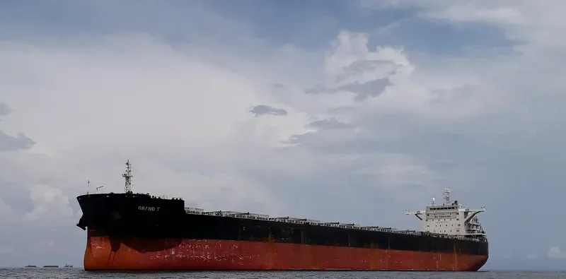 GRAND T Bulk Carrier IMO 9459321 photo 6