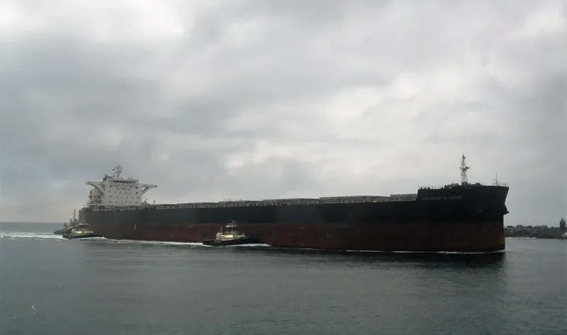 EASTERN GLAMOUR Bulk Carrier IMO 9459345 photo 3