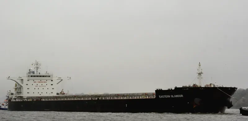 EASTERN GLAMOUR Bulk Carrier IMO 9459345 photo 10