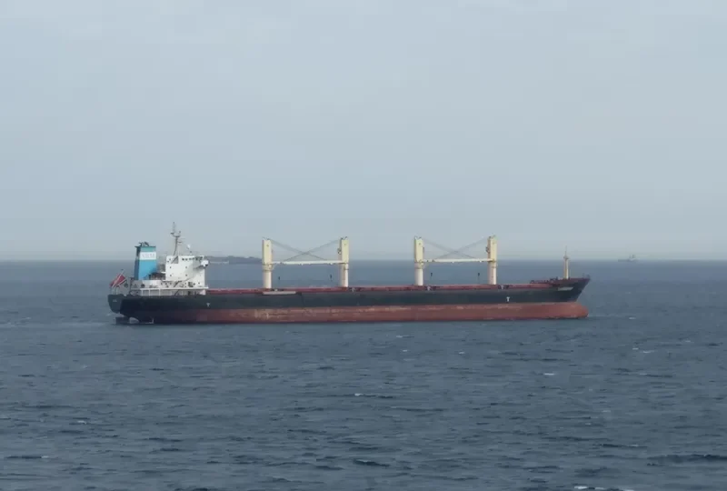 BRIANNA Bulk Carrier IMO 9459369 photo 2