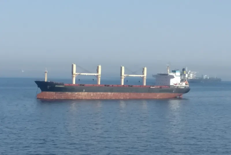 BRIANNA Bulk Carrier IMO 9459369 photo 3