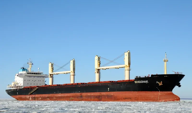 BRIANNA Bulk Carrier IMO 9459369 photo 7