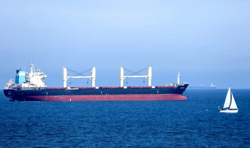 ARGO B Bulk Carrier IMO 9459371 photo 2