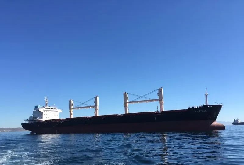 ARGO B Bulk Carrier IMO 9459371 photo 3