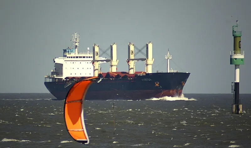 ARGO B Bulk Carrier IMO 9459371 photo 4