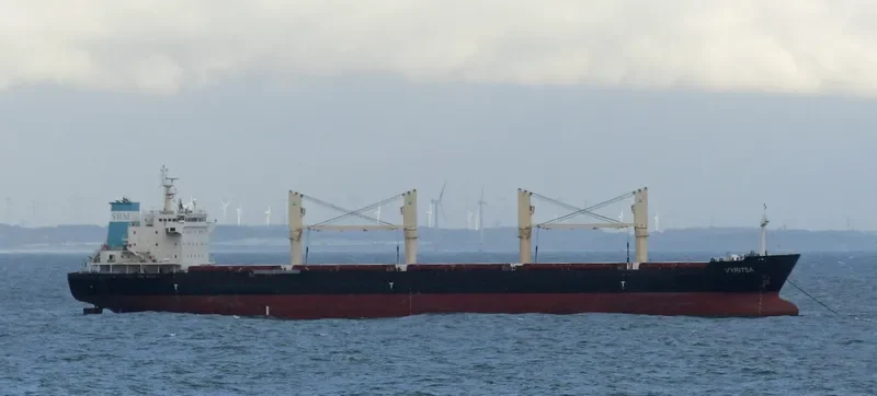 ARGO B Bulk Carrier IMO 9459371 photo 5