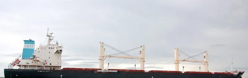 ARGO B Bulk Carrier IMO 9459371 photo 8
