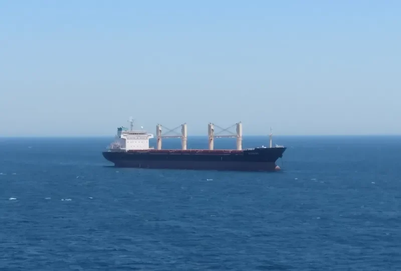 GIORGOS B Bulk Carrier IMO 9459383 photo 9