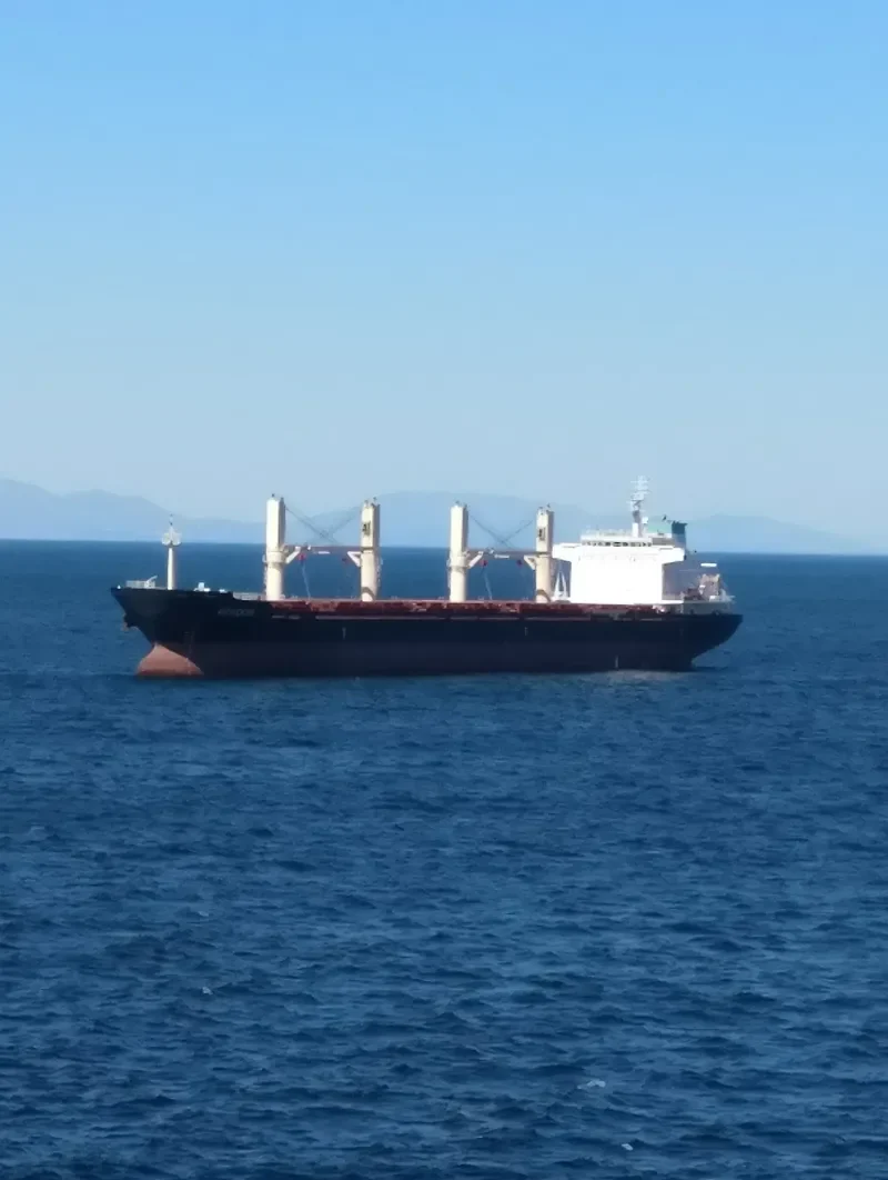 GIORGOS B Bulk Carrier IMO 9459383 photo 10