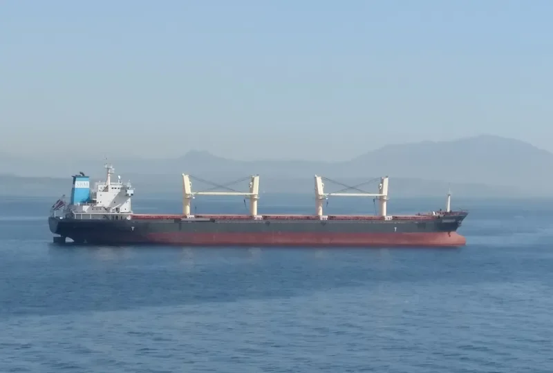 YIHAI Bulk Carrier IMO 9459395 photo 4