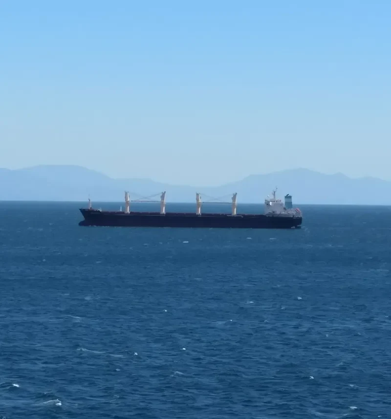 YIHAI Bulk Carrier IMO 9459395 photo 6