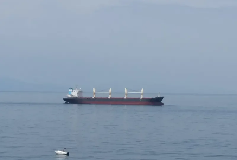 YIHAI Bulk Carrier IMO 9459395 photo 7