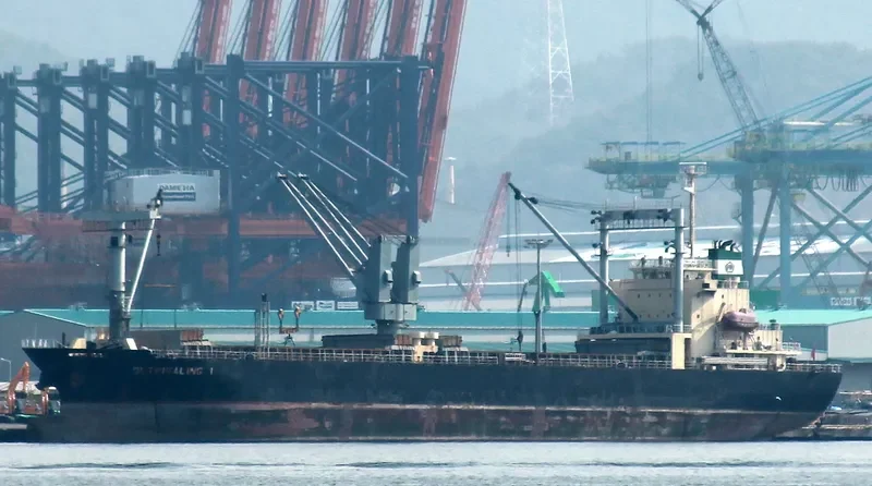 MARIWIT General Cargo IMO 9459448 photo 2