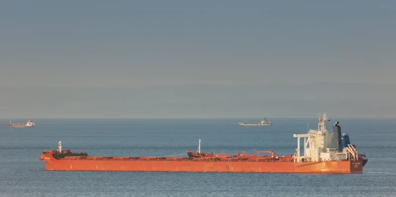 FEG SUCCESS Bulk Carrier IMO 9459527 photo 3