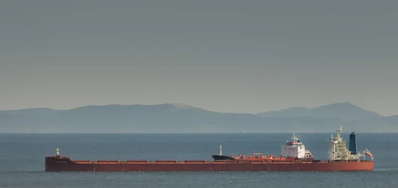FEG SUCCESS Bulk Carrier IMO 9459527 photo 7