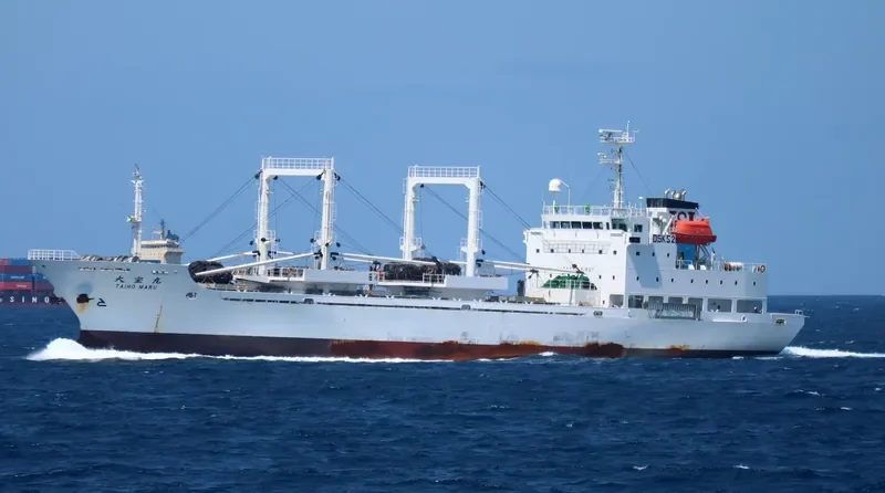 TAIHO MARU General Cargo IMO 9459591 photo 2