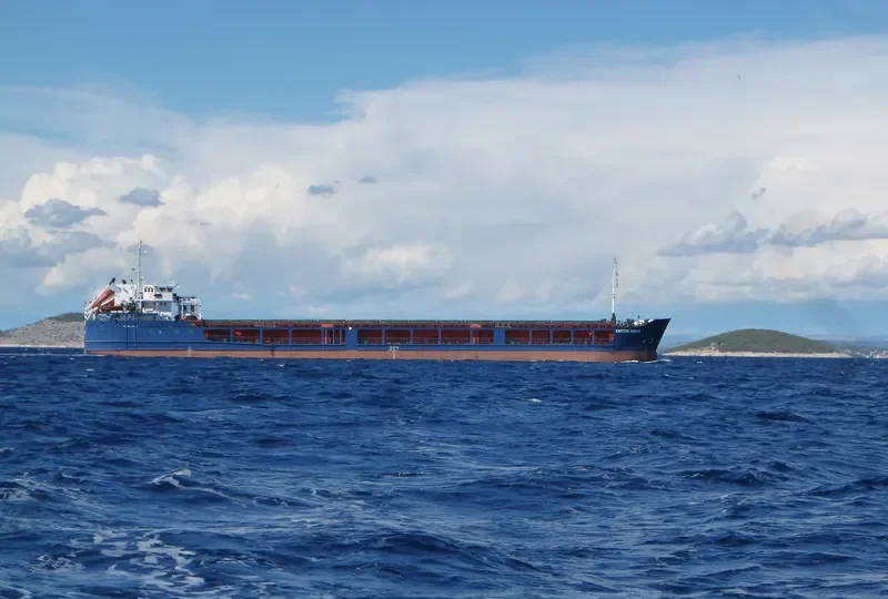 NATAVAN General Cargo IMO 9459618 photo 10