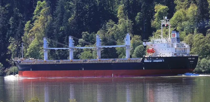 KEN SEI Bulk Carrier IMO 9459620