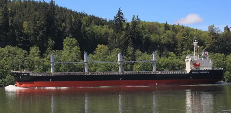 KEN SEI Bulk Carrier IMO 9459620 photo 2