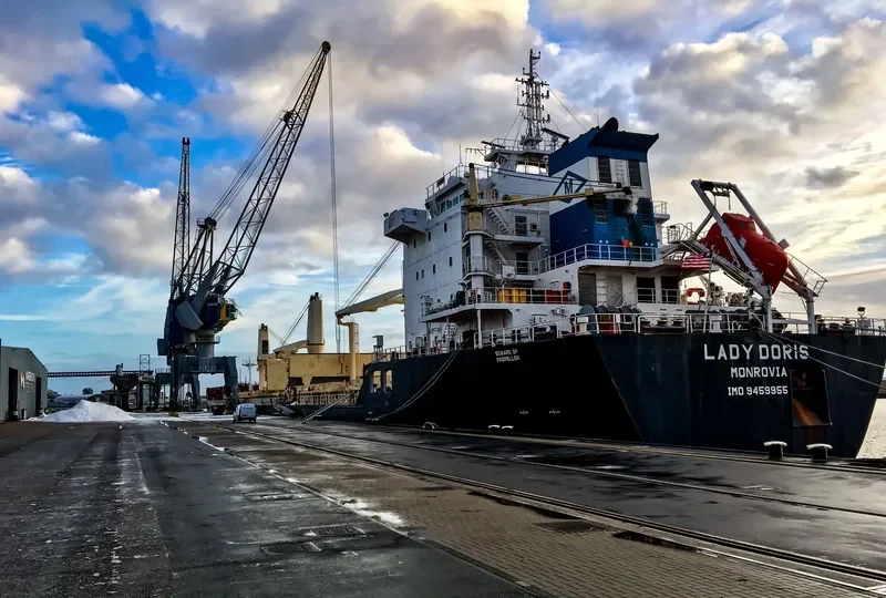 LADY DORIS Bulk Carrier IMO 9459955 photo 2