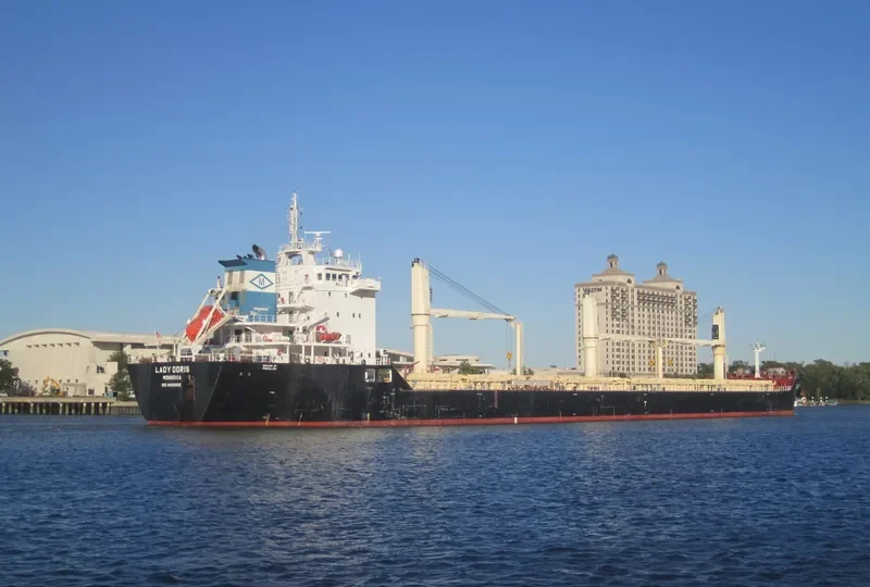 LADY DORIS Bulk Carrier IMO 9459955 photo 3