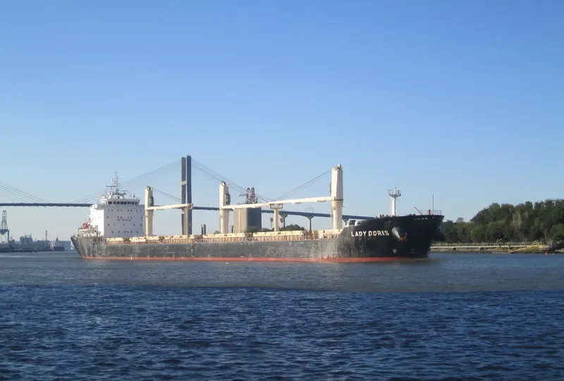 LADY DORIS Bulk Carrier IMO 9459955 photo 4
