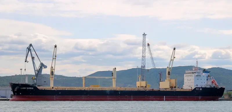 LADY DORIS Bulk Carrier IMO 9459955 photo 5
