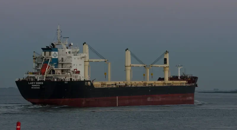 LADY DORIS Bulk Carrier IMO 9459955 photo 6