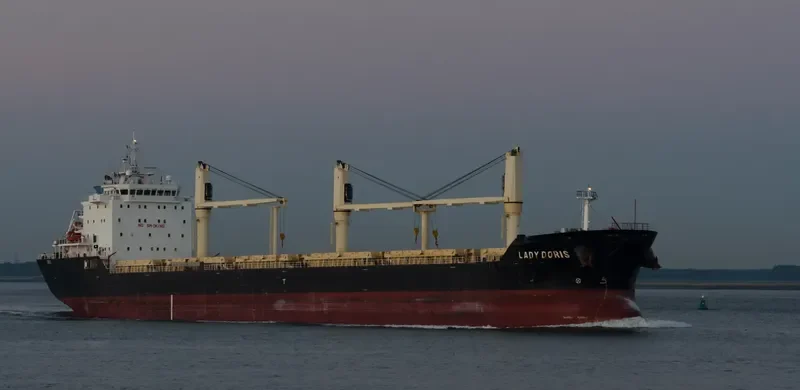 LADY DORIS Bulk Carrier IMO 9459955 photo 7