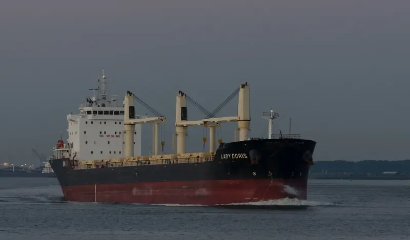 LADY DORIS Bulk Carrier IMO 9459955 photo 8